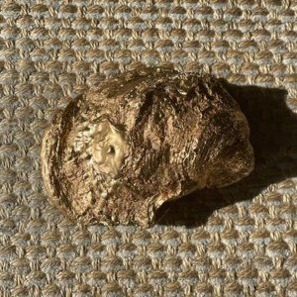 Large Gold Oyster Shell Jewelry Dish - Picture 1 of 3